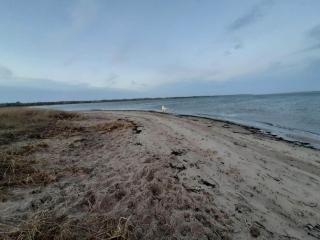 Spacious Retreat by Limfjorden - By Traum Ferienwohnungen - 6