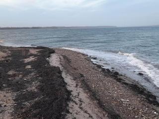 Spacious Retreat by Limfjorden - By Traum Ferienwohnungen - 7