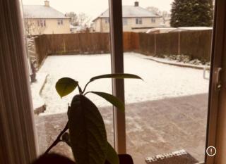 Spacious Luxury Double Room in Croydon King Bed - 1