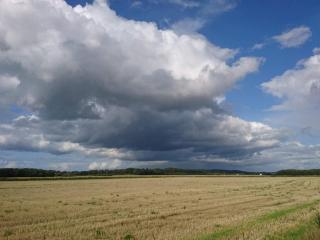 6 person holiday home in Kolind-By Traum - 2