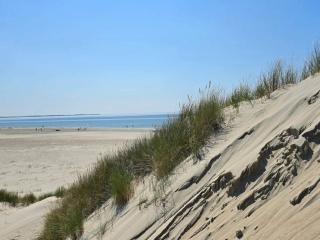 25 person holiday home in Rømø-By Traum - 1