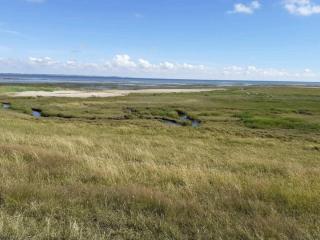 25 person holiday home in Rømø-By Traum - 6