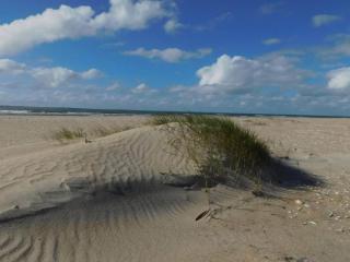 25 person holiday home in Rømø-By Traum - 8