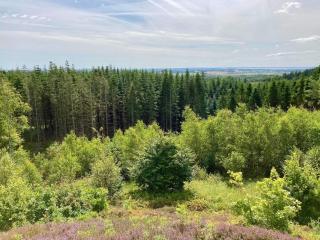 Seaside Serenity in TAYsinge-By Traum - 2