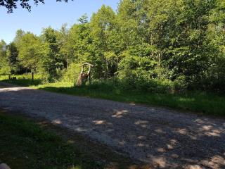 Family Cottage with Terrace and Lawn - 4