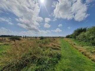 10 person holiday home in Harboøre-By Traum - 4