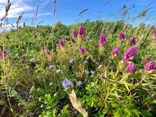 6 person holiday home in Store Fuglede-By Traum - 4