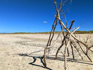 20 person holiday home in Nørre Nebel - 2