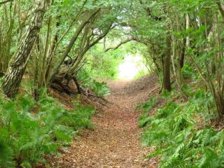 Seaside Rustic Retreat - By Traum Ferienwohnungen - 1