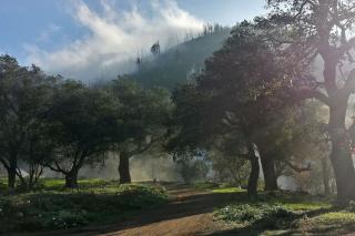 Harrison Serenity Ranch - Groups over 50 - 9