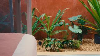 Casa Sofía Centro - 8