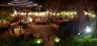 Secret Oasis in Sacramento! - 1