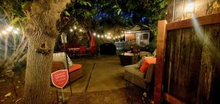 Secret Oasis in Sacramento! - 6