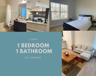 Quiet Apartment - 10 minutes from ECU - 0