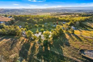 Pond Haven Retreat Wood-Burning HotTub & FirePit - 4