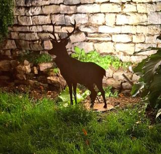 Le Lavoir d'Adèle 5 étoiles - Spa and Sauna - LUXE - 4