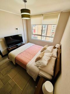 Moderno departamento en el corazón Santiago! - 1