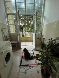 Комната с двуспальной кроватью в уютных апартаментах - 3