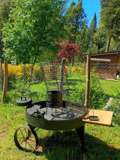 Cabaña Sol del Llao - 1