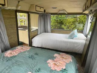 Simple Cabin, Kuaotunu - Peaceful, Affordable Stay - 7