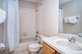 Disney's Delight - 8