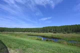 2956 - Sanctuary at Storey Lake - 5