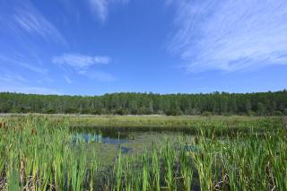 2956 - Sanctuary at Storey Lake - 2