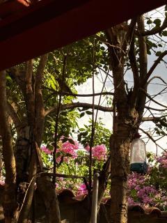 Cantinho da Serra do Cipó - 1