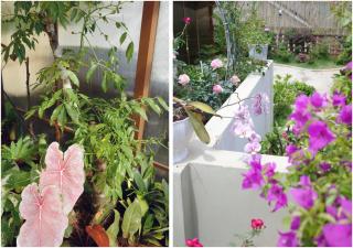 Le Macaron Garden Stay - City Boutique Hotel Da Lat - 2