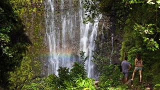 Valley Isle 208 · VI208 Remodeled Maui OceanFront 2BD w Ocean Vi - 8