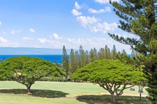 Kapalua Golf Villas 17T8 · KGV 17T8 Remodeled 1BD Kapalua Villa - 1