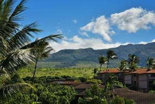 Kaleialoha 403 · Remodeled 1BD w Mountain Views Pool AC - 9