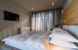 Aurora Peak Luxury Suites - 4