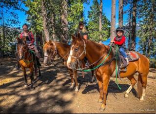 Woodland Retreat - Horse-Friendly AC - 6
