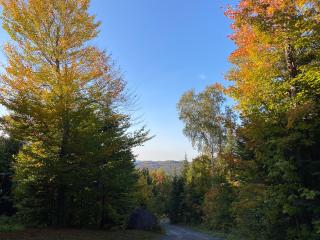 La Romane Stylish Forest Chalet W Spa - 9