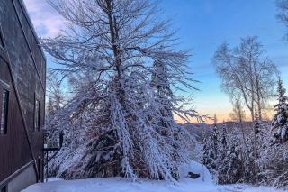 La Romane Stylish Forest Chalet W Spa - 1