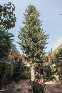 Hotel Allende Morelia - 5