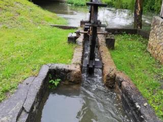 Five Bedroom Apartment with Garden View - 1