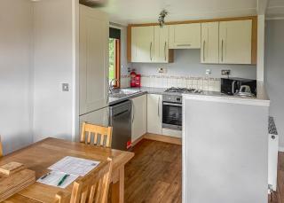 Athelington Hall Farm Lodges - 3