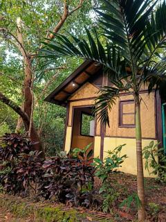 Busuanga Backpackers - 3