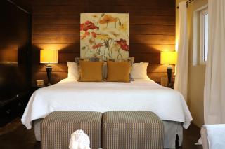 Suite Romantica Valle AC WiFi Alberca y Asador - 4