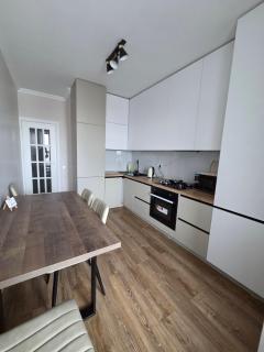 Транзит Сервис 4 Аэропорт- Кишинёв - 5