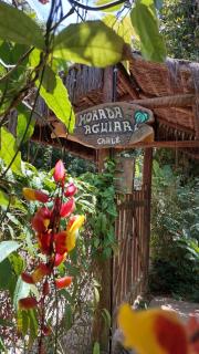 Morada Aguiar - Chalé Kitnet e Suite - Abraão - 7