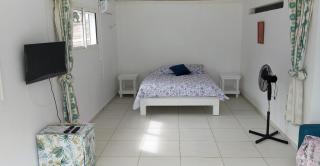 HELICONIA rostrata - 1