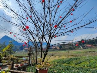 Le Chalet Homestay - 7