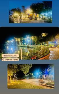 Thar blossoms resort - 7