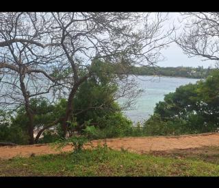 Seaside studio Kilifi - 5