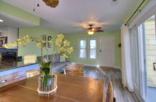 Island Palms - D1 - 4