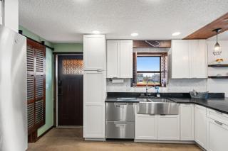 The Dogfish Dive Den! - 1