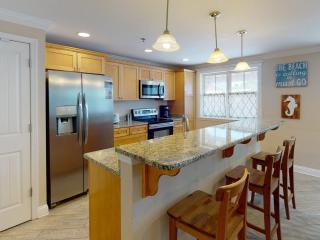 Lazi Seahorse - Tybee Island - 4